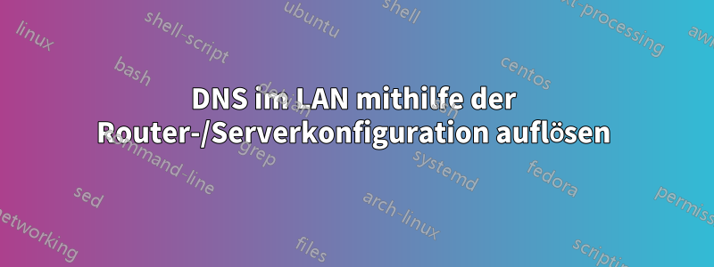 DNS im LAN mithilfe der Router-/Serverkonfiguration auflösen
