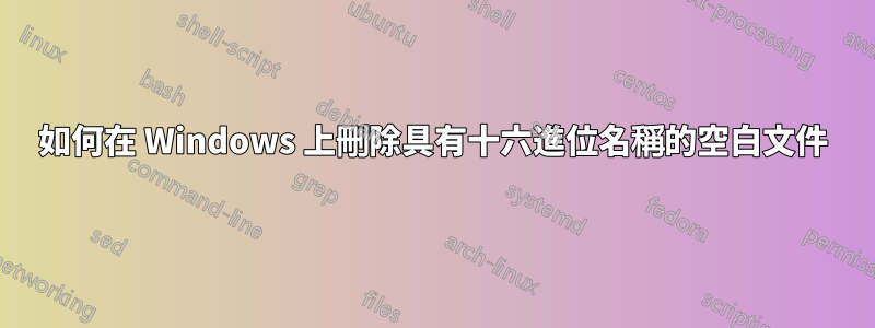 如何在 Windows 上刪除具有十六進位名稱的空白文件