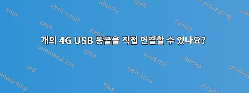 2개의 4G USB 동글을 직접 연결할 수 있나요?