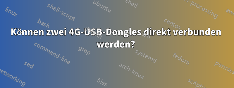 Können zwei 4G-USB-Dongles direkt verbunden werden?