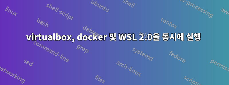 virtualbox, docker 및 WSL 2.0을 동시에 실행