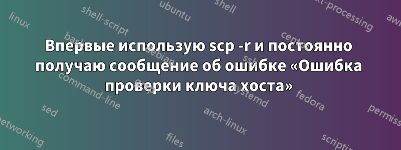 Впервые использую scp -r и постоянно получаю сообщение об ошибке «Ошибка проверки ключа хоста»