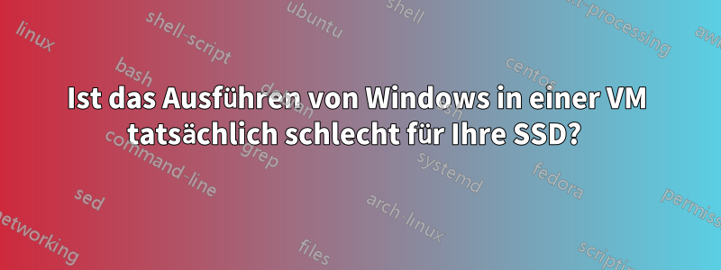 Ist das Ausführen von Windows in einer VM tatsächlich schlecht für Ihre SSD? 