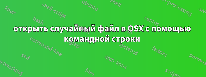 открыть случайный файл в OSX с помощью командной строки