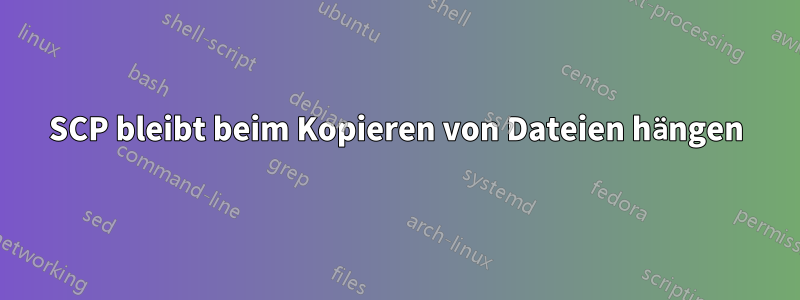 SCP bleibt beim Kopieren von Dateien hängen