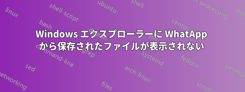 Windows エクスプローラーに WhatApp から保存されたファイルが表示されない