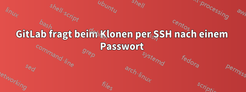 GitLab fragt beim Klonen per SSH nach einem Passwort