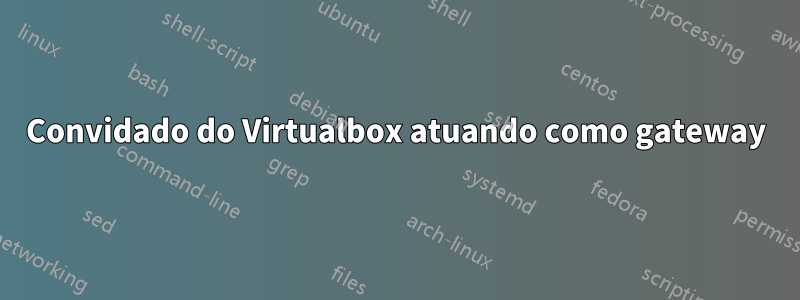 Convidado do Virtualbox atuando como gateway
