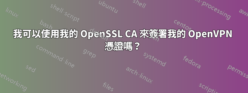 我可以使用我的 OpenSSL CA 來簽署我的 OpenVPN 憑證嗎？