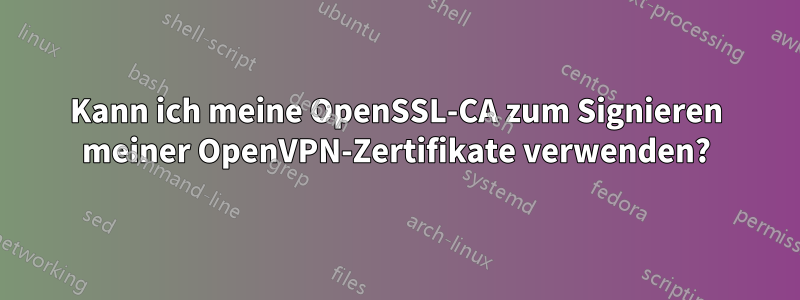 Kann ich meine OpenSSL-CA zum Signieren meiner OpenVPN-Zertifikate verwenden?