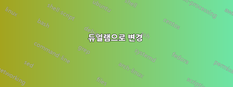 듀얼램으로 변경