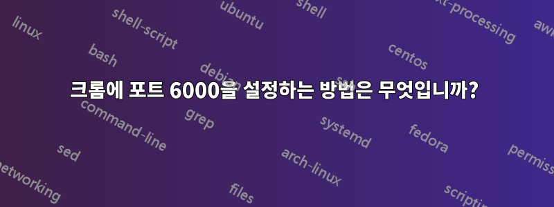 크롬에 포트 6000을 설정하는 방법은 무엇입니까?