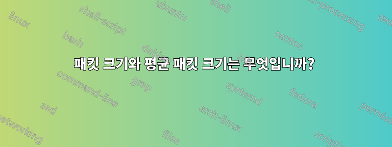 패킷 크기와 평균 패킷 크기는 무엇입니까?