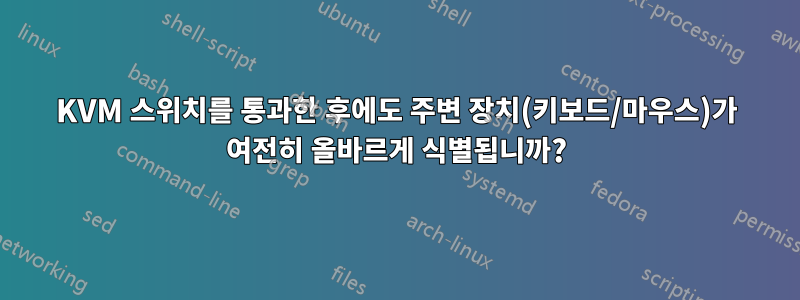 KVM 스위치를 통과한 후에도 주변 장치(키보드/마우스)가 여전히 올바르게 식별됩니까?