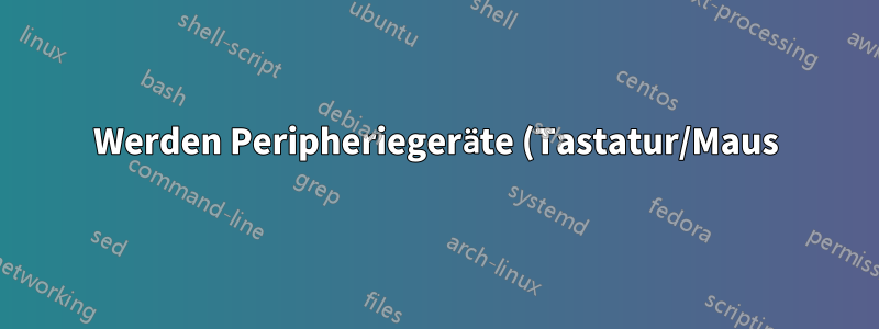 Werden Peripheriegeräte (Tastatur/Maus) nach dem Umschalten über einen KVM-Switch immer noch korrekt erkannt?