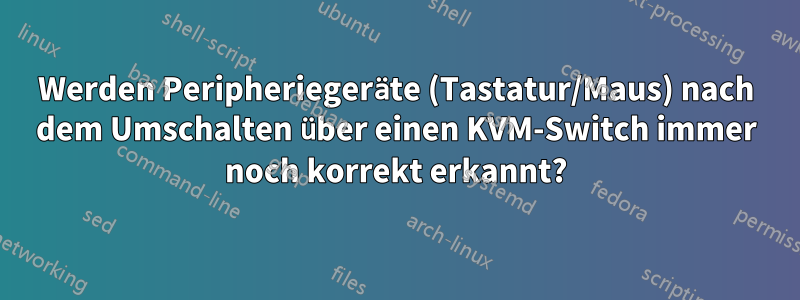 Werden Peripheriegeräte (Tastatur/Maus) nach dem Umschalten über einen KVM-Switch immer noch korrekt erkannt?