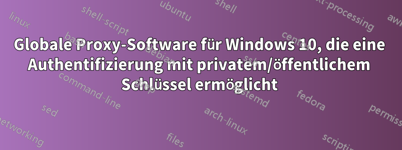 Globale Proxy-Software für Windows 10, die eine Authentifizierung mit privatem/öffentlichem Schlüssel ermöglicht