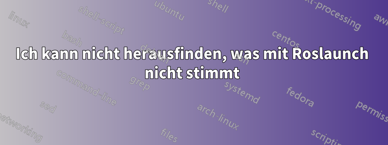 Ich kann nicht herausfinden, was mit Roslaunch nicht stimmt