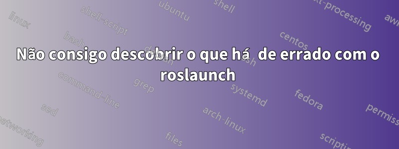 Não consigo descobrir o que há de errado com o roslaunch