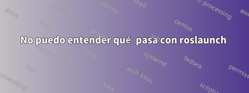 No puedo entender qué pasa con roslaunch