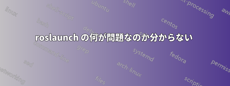 roslaunch の何が問題なのか分からない