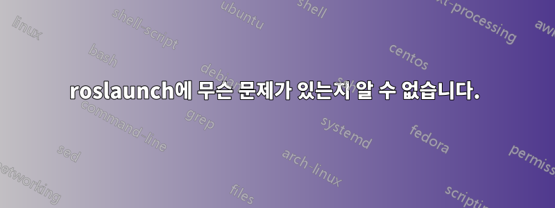 roslaunch에 무슨 문제가 있는지 알 수 없습니다.