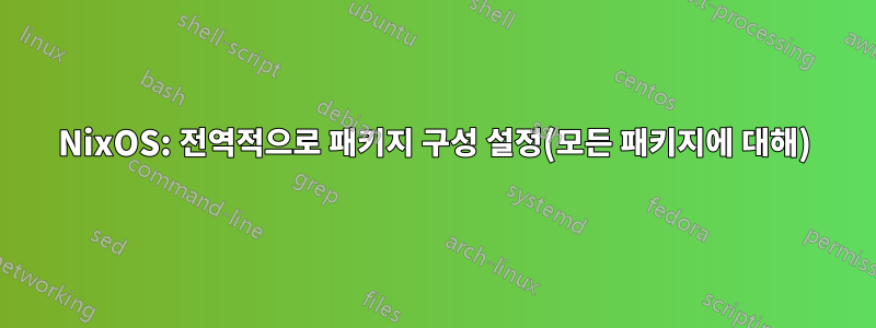 NixOS: 전역적으로 패키지 구성 설정(모든 패키지에 대해)