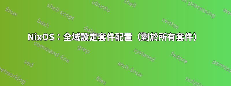 NixOS：全域設定套件配置（對於所有套件）