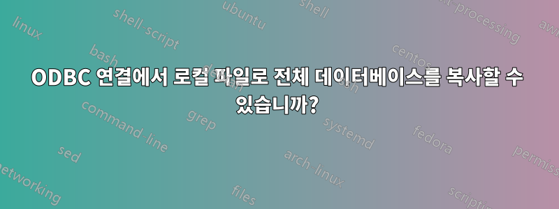 ODBC 연결에서 로컬 파일로 전체 데이터베이스를 복사할 수 있습니까?