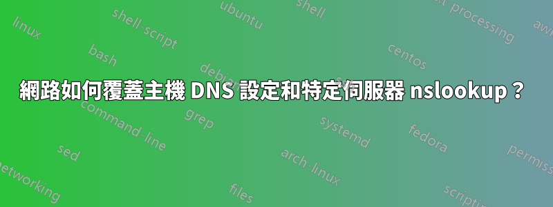 網路如何覆蓋主機 DNS 設定和特定伺服器 nslookup？