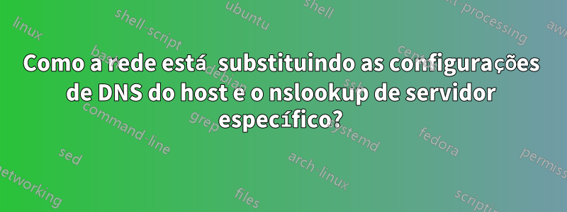 Como a rede está substituindo as configurações de DNS do host e o nslookup de servidor específico?