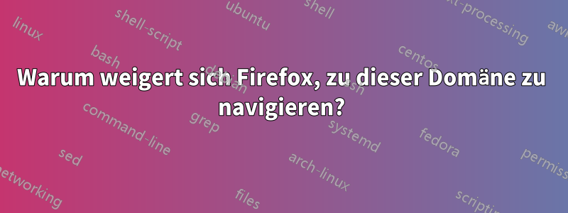 Warum weigert sich Firefox, zu dieser Domäne zu navigieren?