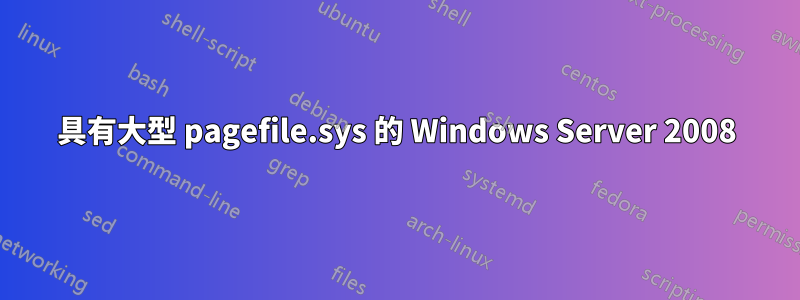 具有大型 pagefile.sys 的 Windows Server 2008