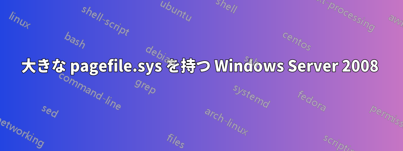大きな pagefile.sys を持つ Windows Server 2008