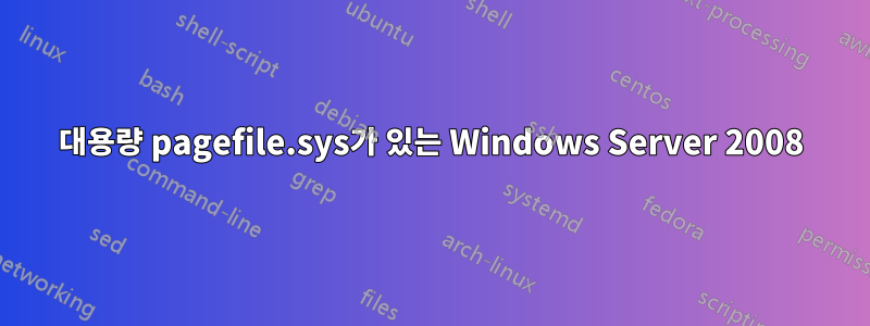 대용량 pagefile.sys가 있는 Windows Server 2008