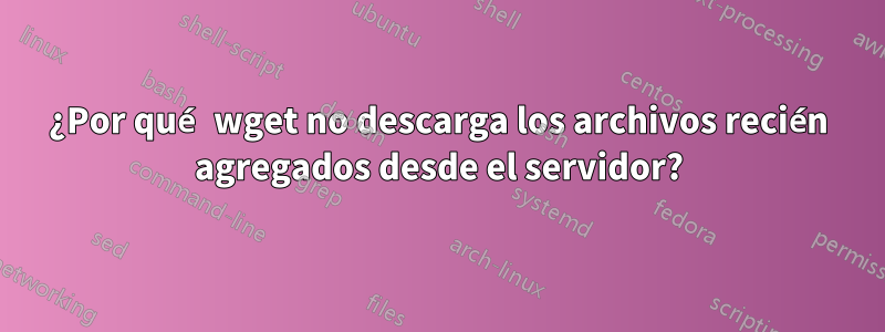 ¿Por qué wget no descarga los archivos recién agregados desde el servidor?