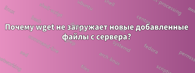 Почему wget не загружает новые добавленные файлы с сервера?