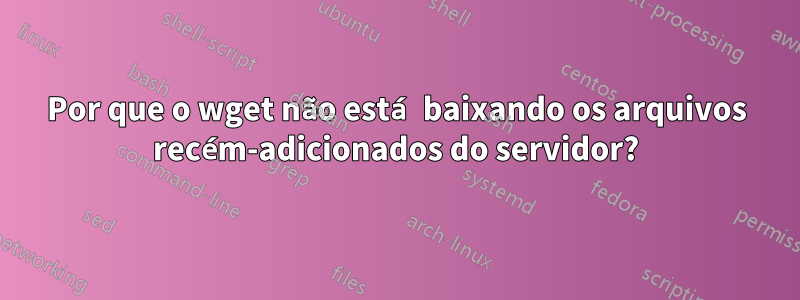 Por que o wget não está baixando os arquivos recém-adicionados do servidor?