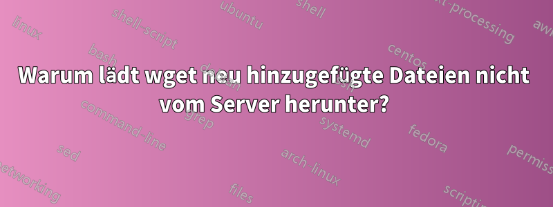 Warum lädt wget neu hinzugefügte Dateien nicht vom Server herunter?