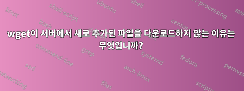 wget이 서버에서 새로 추가된 파일을 다운로드하지 않는 이유는 무엇입니까?
