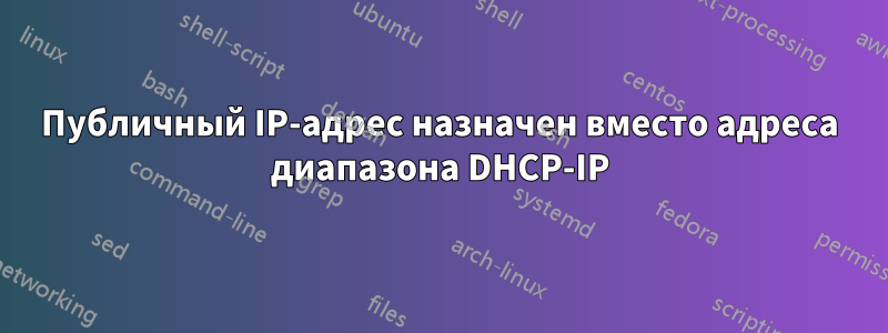 Публичный IP-адрес назначен вместо адреса диапазона DHCP-IP