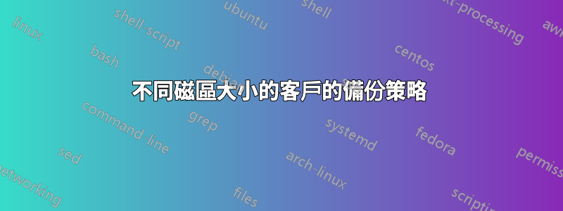 不同磁區大小的客戶的備份策略