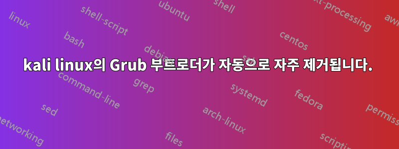 kali linux의 Grub 부트로더가 자동으로 자주 제거됩니다.