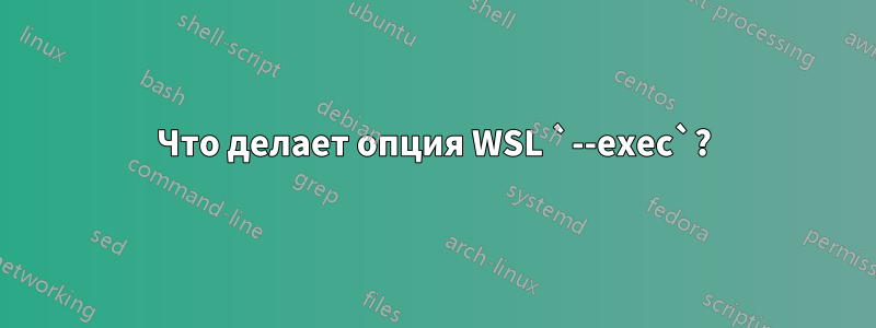 Что делает опция WSL `--exec`?