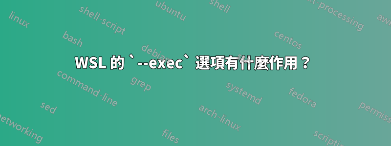 WSL 的 `--exec` 選項有什麼作用？