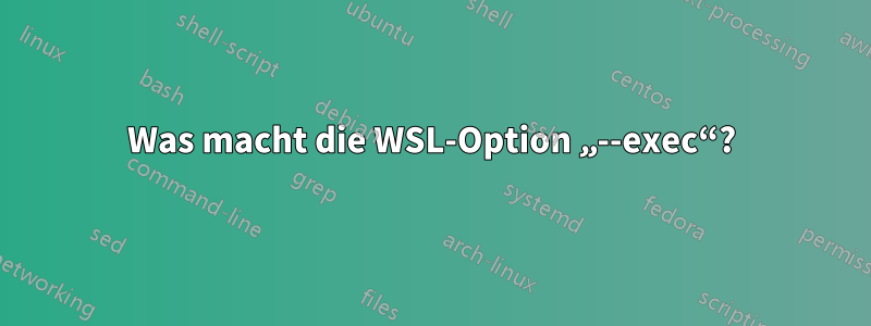 Was macht die WSL-Option „--exec“?