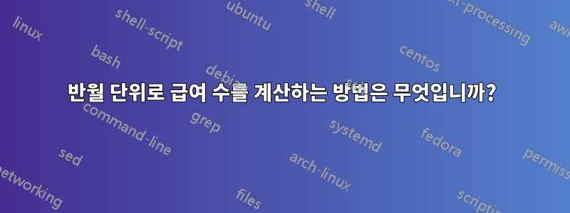 반월 단위로 급여 수를 계산하는 방법은 무엇입니까?