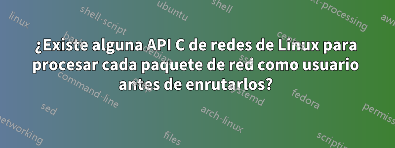 ¿Existe alguna API C de redes de Linux para procesar cada paquete de red como usuario antes de enrutarlos?