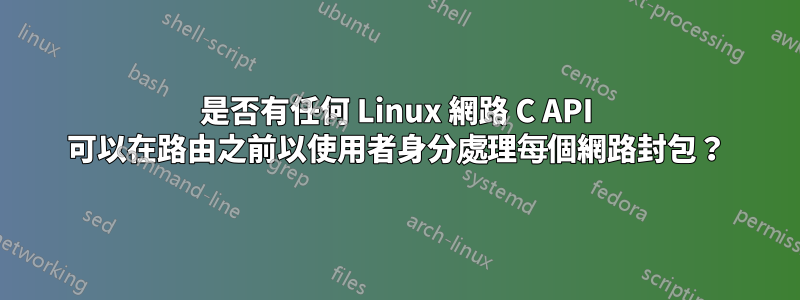 是否有任何 Linux 網路 C API 可以在路由之前以使用者身分處理每個網路封包？