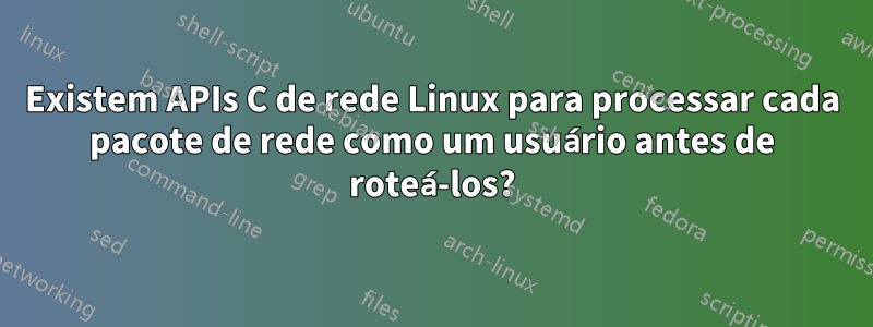 Existem APIs C de rede Linux para processar cada pacote de rede como um usuário antes de roteá-los?